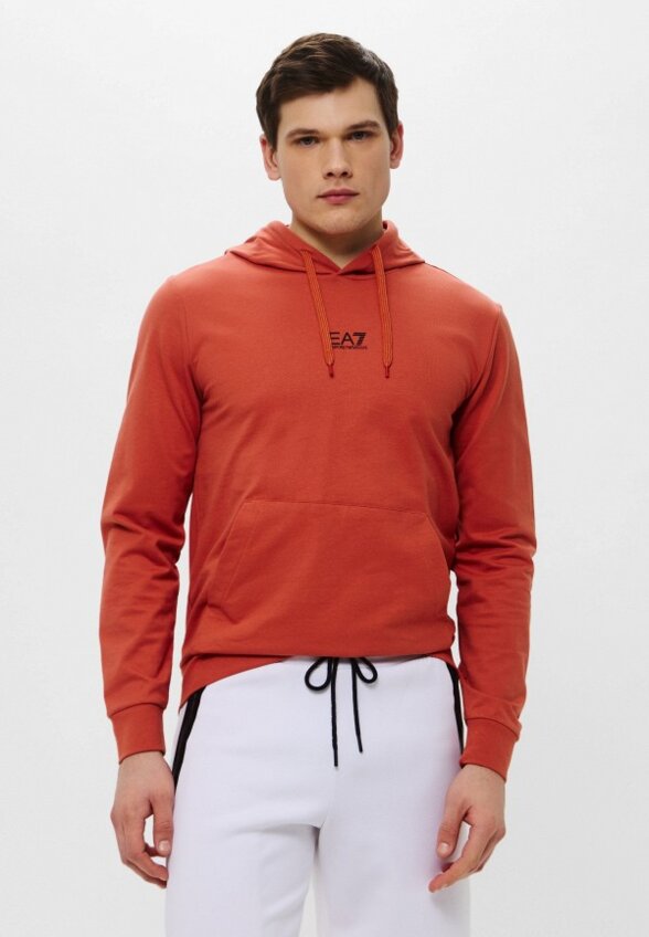 Худи EA7