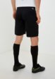Шорты спортивные Demix3  - превью