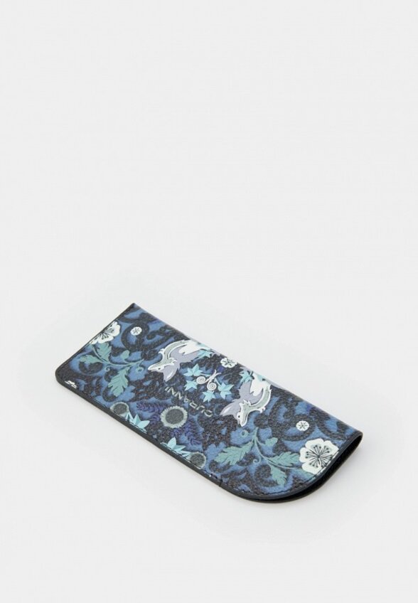 Чехол для очков Curanni