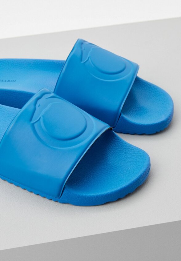 Сланцы Trussardi