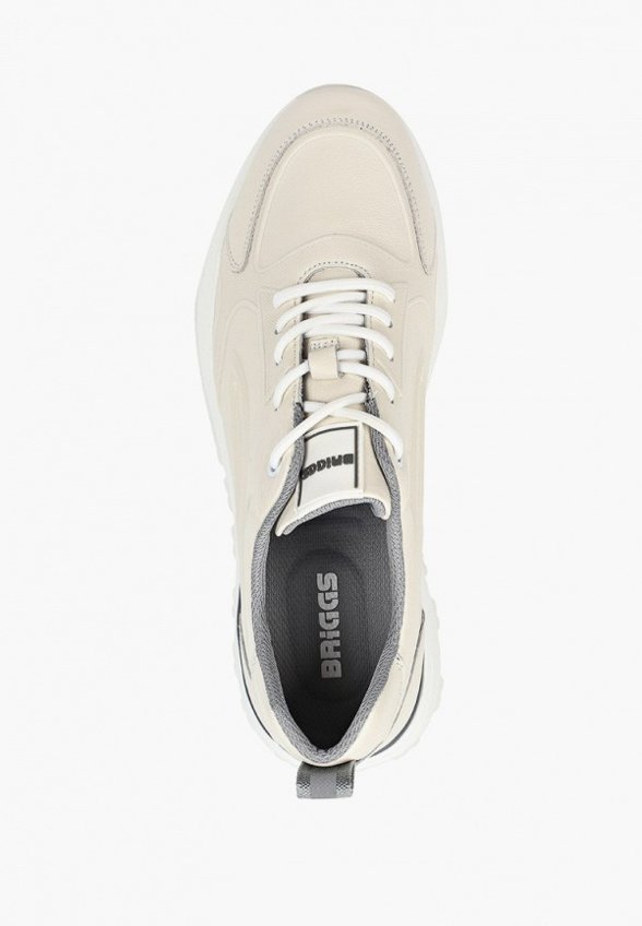 Кроссовки Briggs