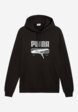 Худи мужское PUMA Sport, Черный1  - превью