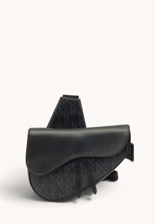 Dior Saddle