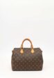 Louis Vuitton Speedy1  - превью