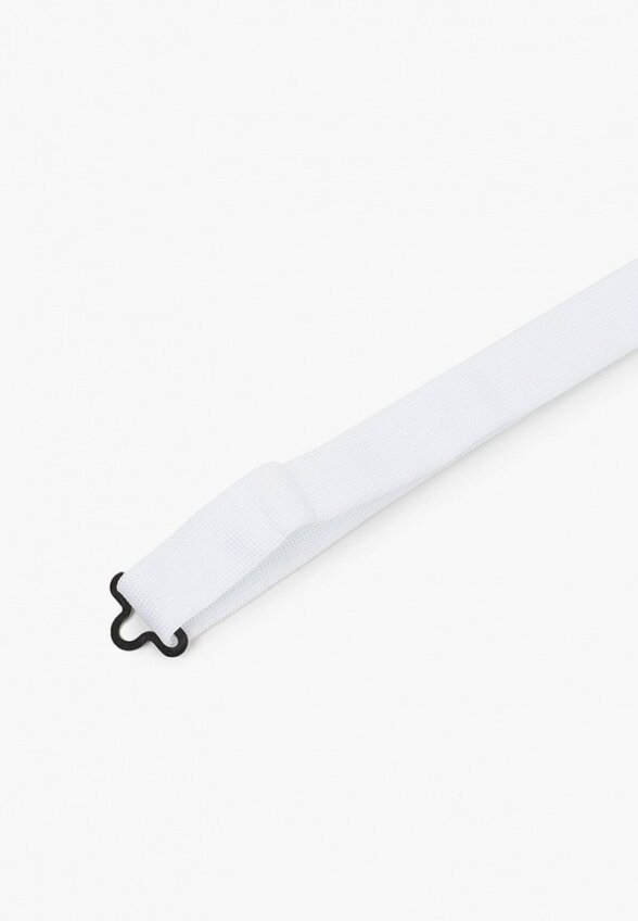 Бабочка Stenser