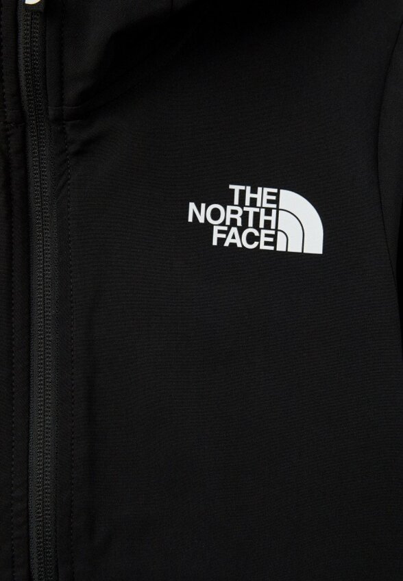 Ветровка The North Face