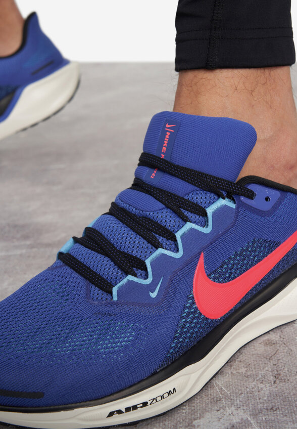 Кроссовки мужские Nike Pegasus 41, Голубой