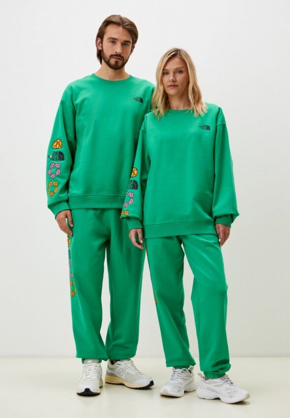 Брюки спортивные The North Face