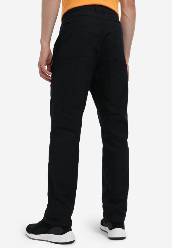 Брюки мужские Columbia Flex Roc II Lined Pant, Черный