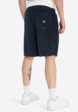 Шорты мужские Quiksilver Taxer Cord, Синий3  - превью