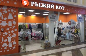Рыжий Кот