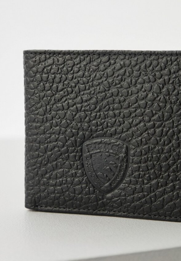 Кошелек Blauer