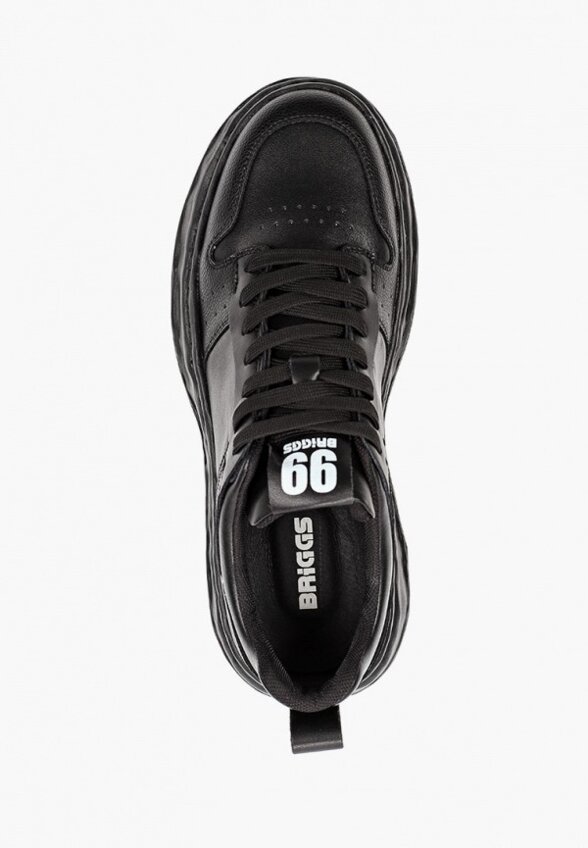 Кроссовки Briggs