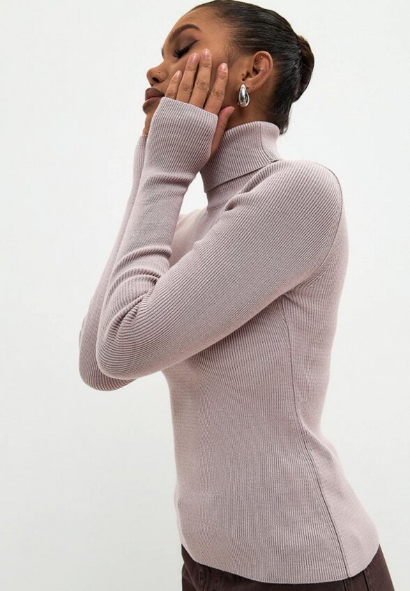 Водолазка Diana Delma