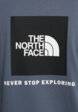 Футболка женская The North Face Evolution Box Nse Relaxed, Серый7  - превью