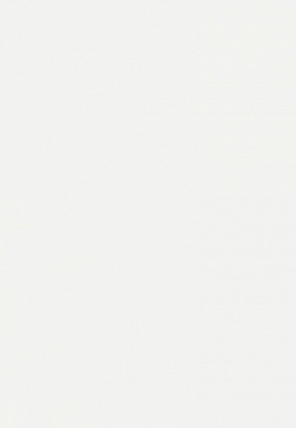 Праймер для лица Holika Holika