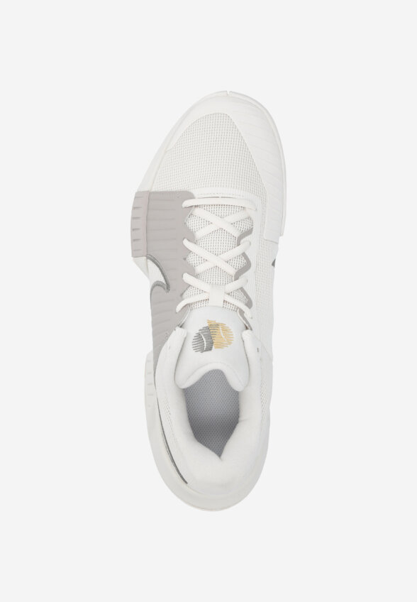 Кроссовки мужские Nike GP Challenge Pro PRM, Серый