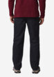 Брюки мужские Columbia Rapid Rivers Fleece Lined Pant, Черный3  - превью