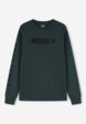 Лонгслив мужской Vans I Need My LS, Зеленый1  - превью