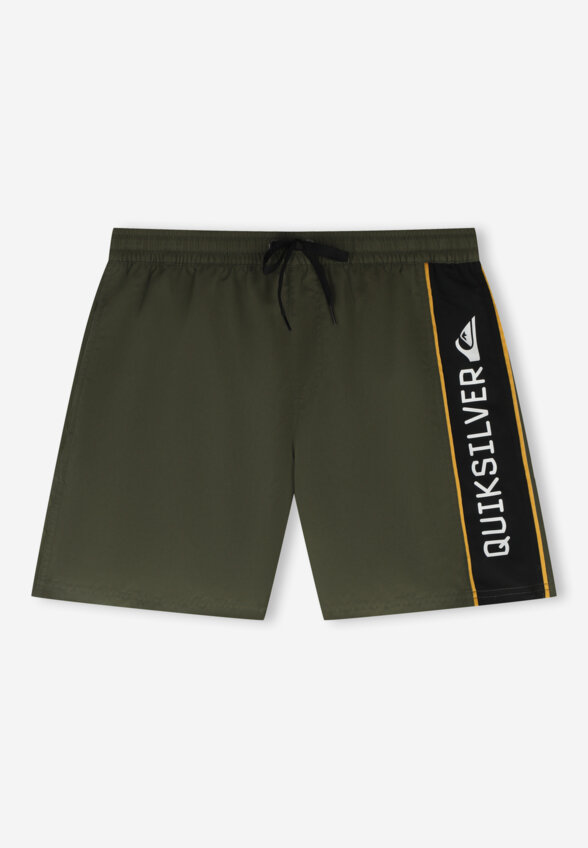Шорты плавательные мужские Quiksilver Everyday Clicker Volley 17, Зеленый