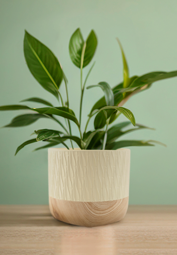 Кашпо Mandarin Decor