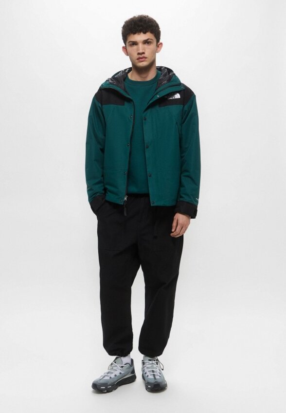 Куртка The North Face