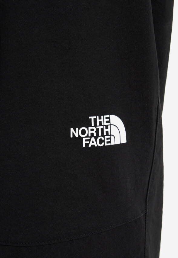 Брюки мужские The North Face, Черный