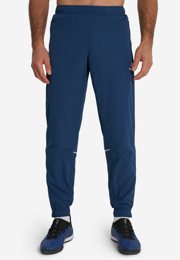 Брюки мужские Demix, Синий