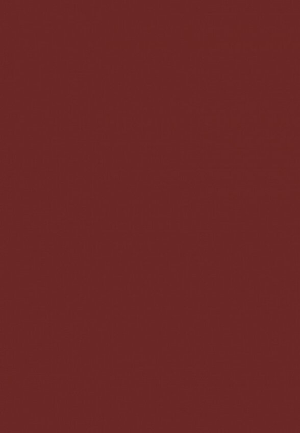 Помада-бальзам Arive Makeup