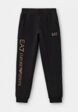 Брюки спортивные EA71  - превью