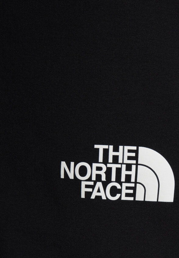 Брюки мужские The North Face Speedlight, Черный