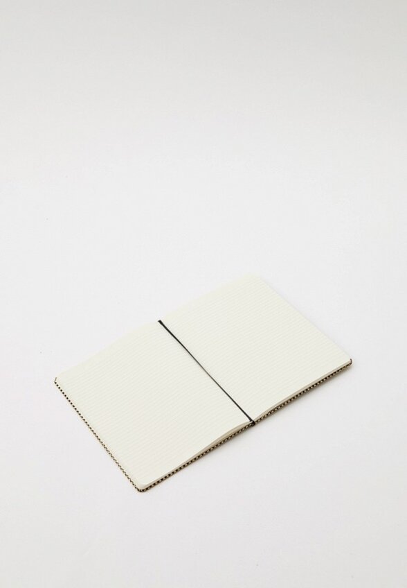 Блокнот и ручка Moleskine