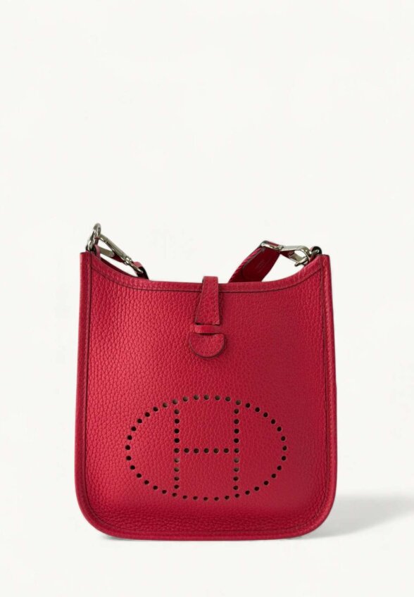 Hermes Evelyne