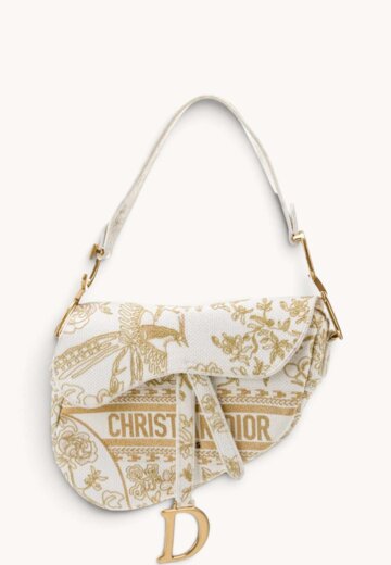 Christian Dior Saddle