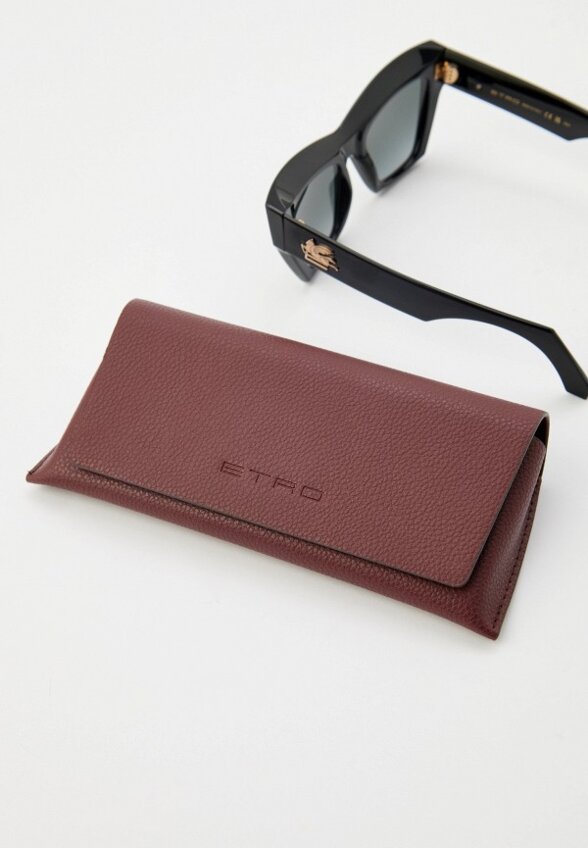 Очки солнцезащитные Etro