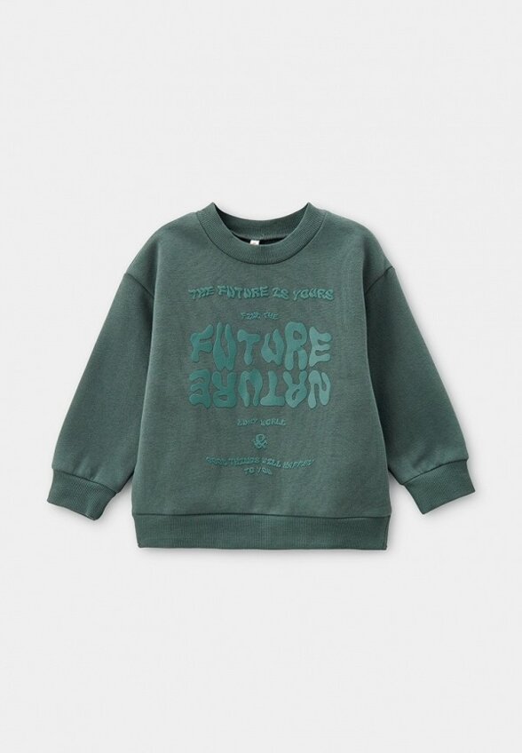 Свитшот Pelican