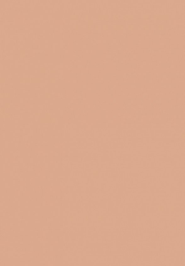 Тональный крем Vivienne Sabo