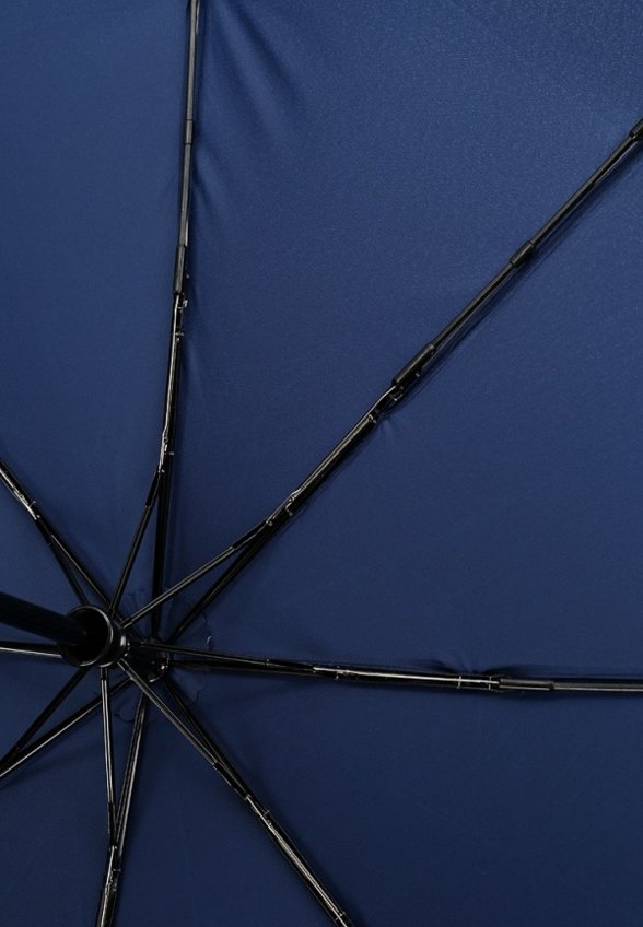 Зонт складной и брелок Flioraj