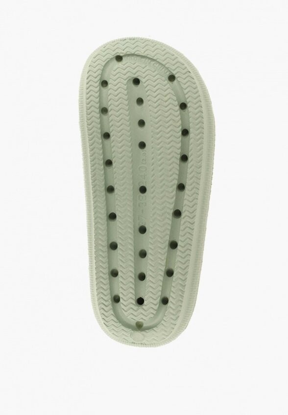 Сланцы De Fonseca