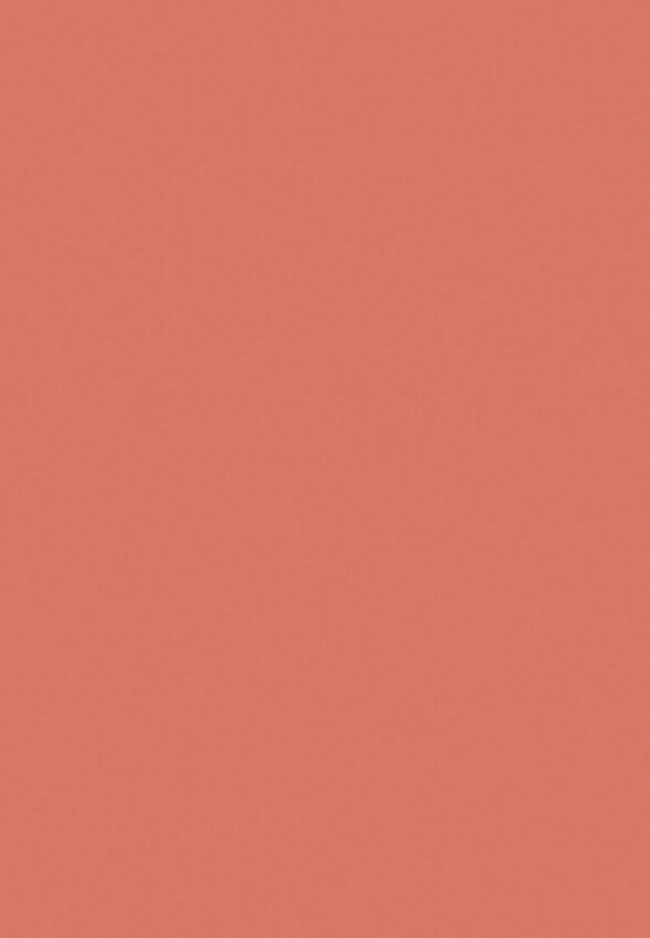 Румяна Focallure