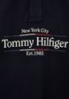 Поло Tommy Hilfiger3  - превью