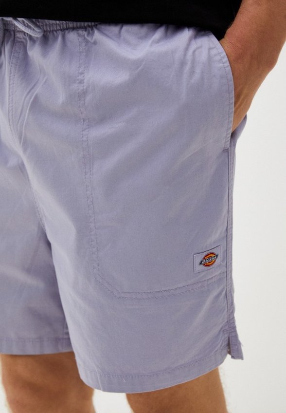 Шорты спортивные Dickies