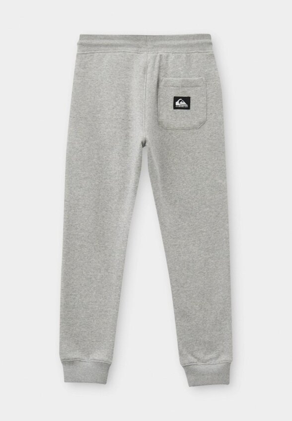 Брюки спортивные Quiksilver