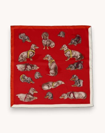 Hermes Scarf женщинам
