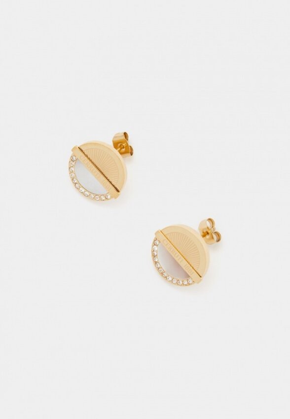 Серьги Cerruti 1881