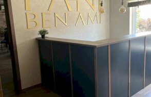 Fani ben ami