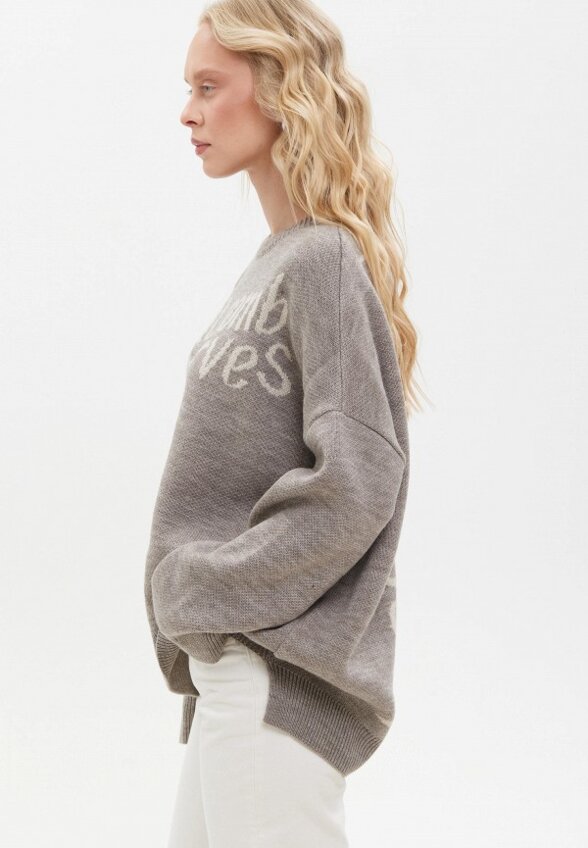 Джемпер Стим