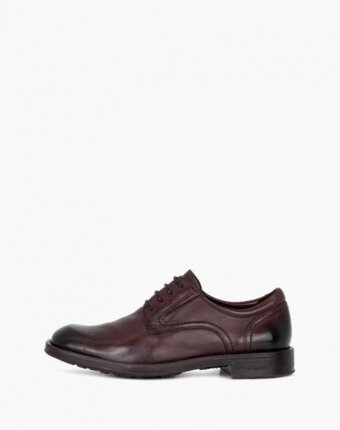 Туфли TJ Collection мужчинам