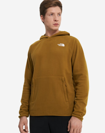 Джемпер флисовый мужской The North Face 100 Glacier, Зеленый женщинам