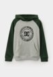 Худи DC Shoes1  - превью